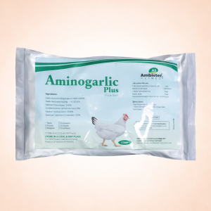 Aminogarlic Plus