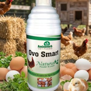 Ovo-Smart_page-0001