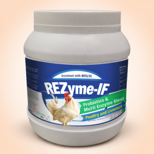 REZyme-IF