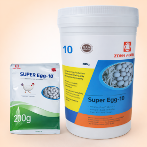 SUPER EGG-10