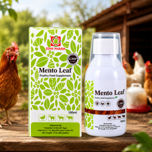 Mento Leaf