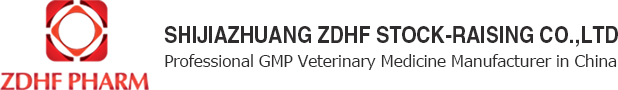ZDHF PHARM
